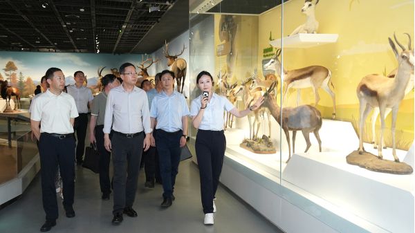 西安市文旅局到陕西自然博物馆调研指导工作