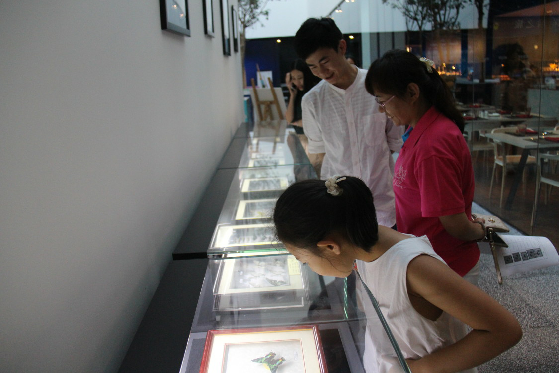 忆童年昆虫展
