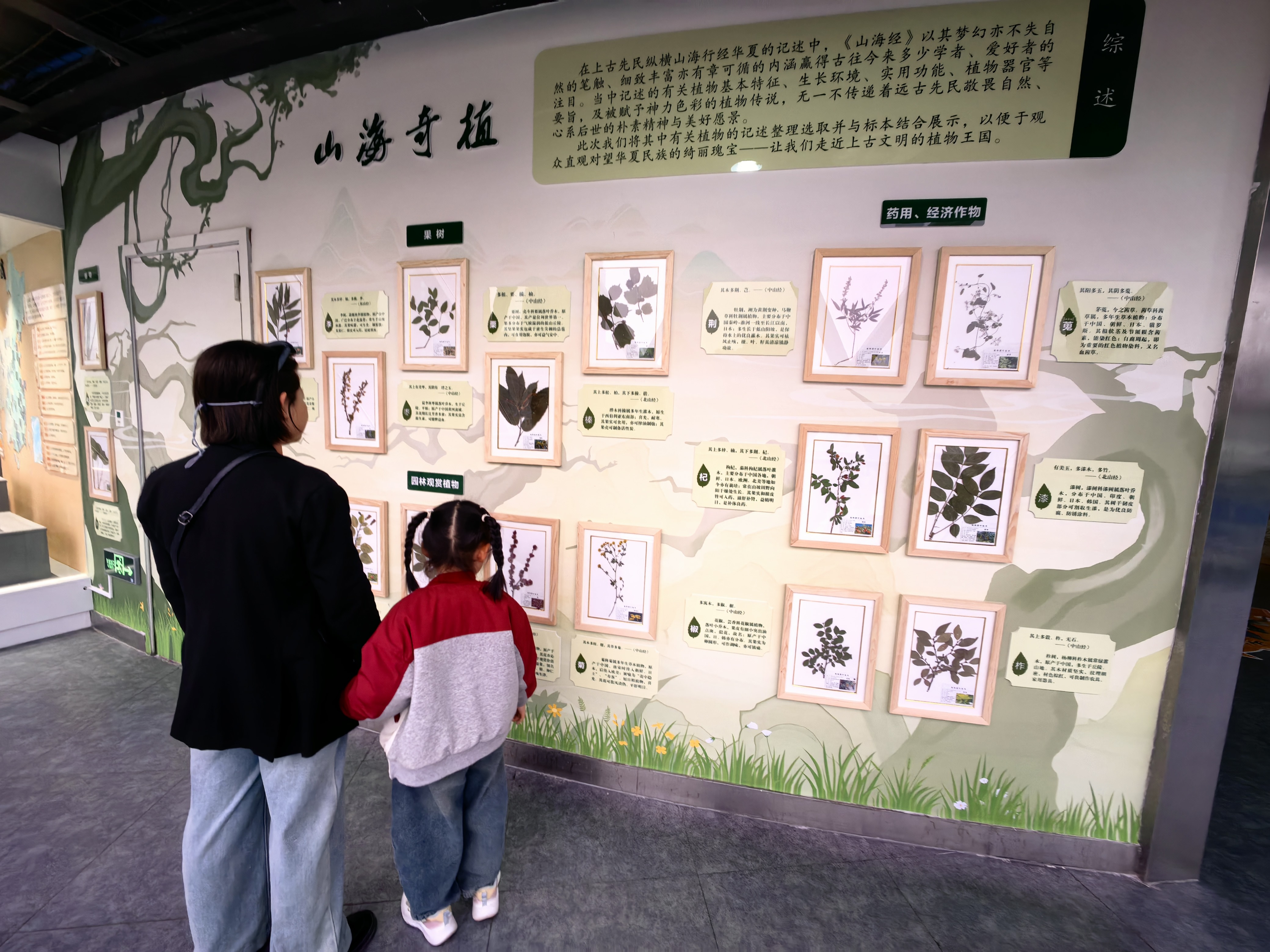 春之信使 走近上古文明之植物世界