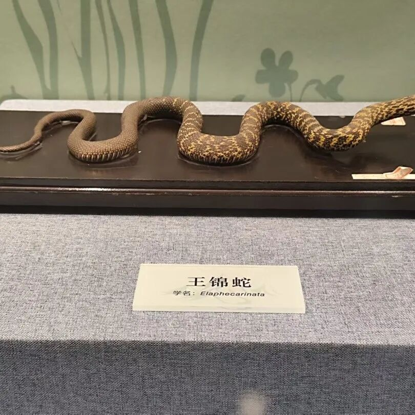 1774233351.png 图片.png