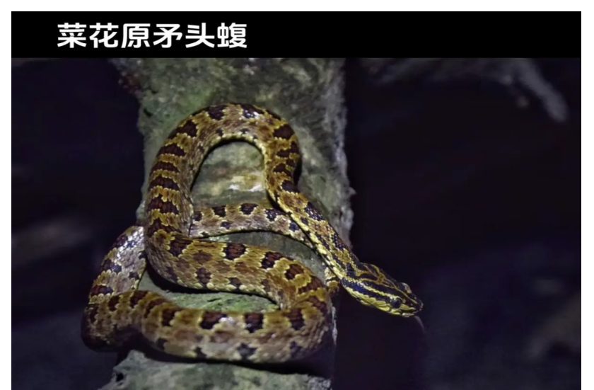 1774318209.png 图片.png