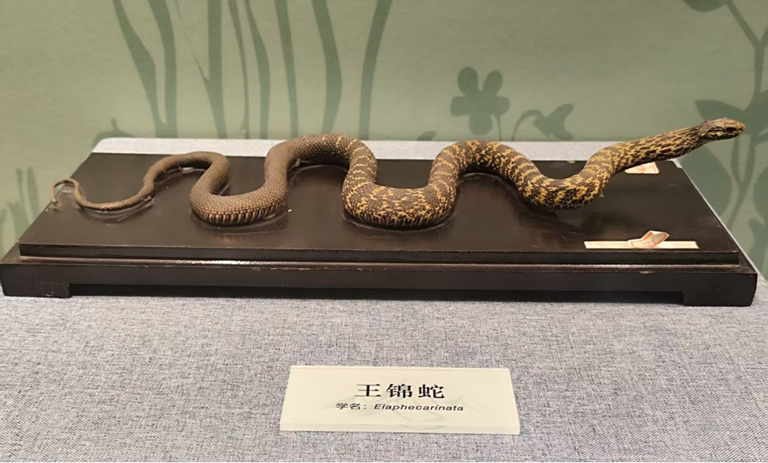 1774320282.png 图片.png