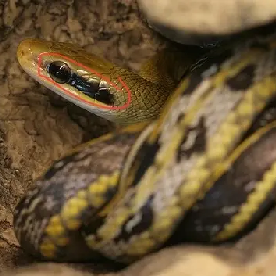 1774320531.png 图片.png