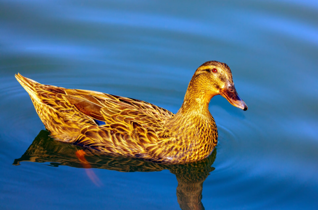 1774331202.png 图片.png