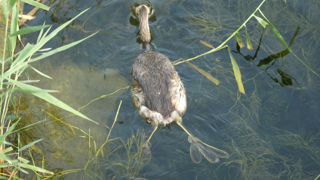 1774331392.png 图片.png