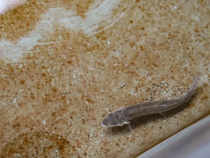 1774336244.png 图片.png