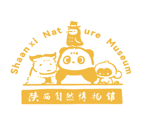 自然灵感触手可及陕西自然博物馆线上商城全...
