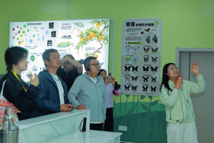 1779954101.png 图片.png