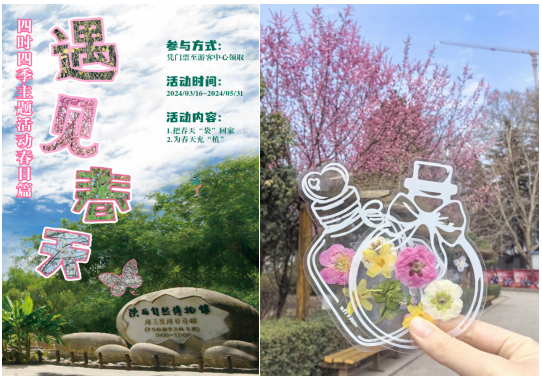 四时流转，四季更迭--博物馆主题营销活动引领文化新风尚