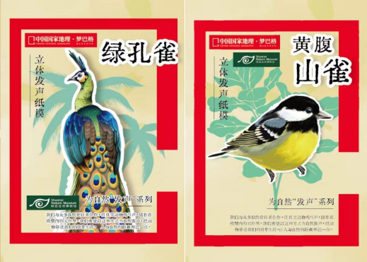 品牌联名，助力自然教育新发展