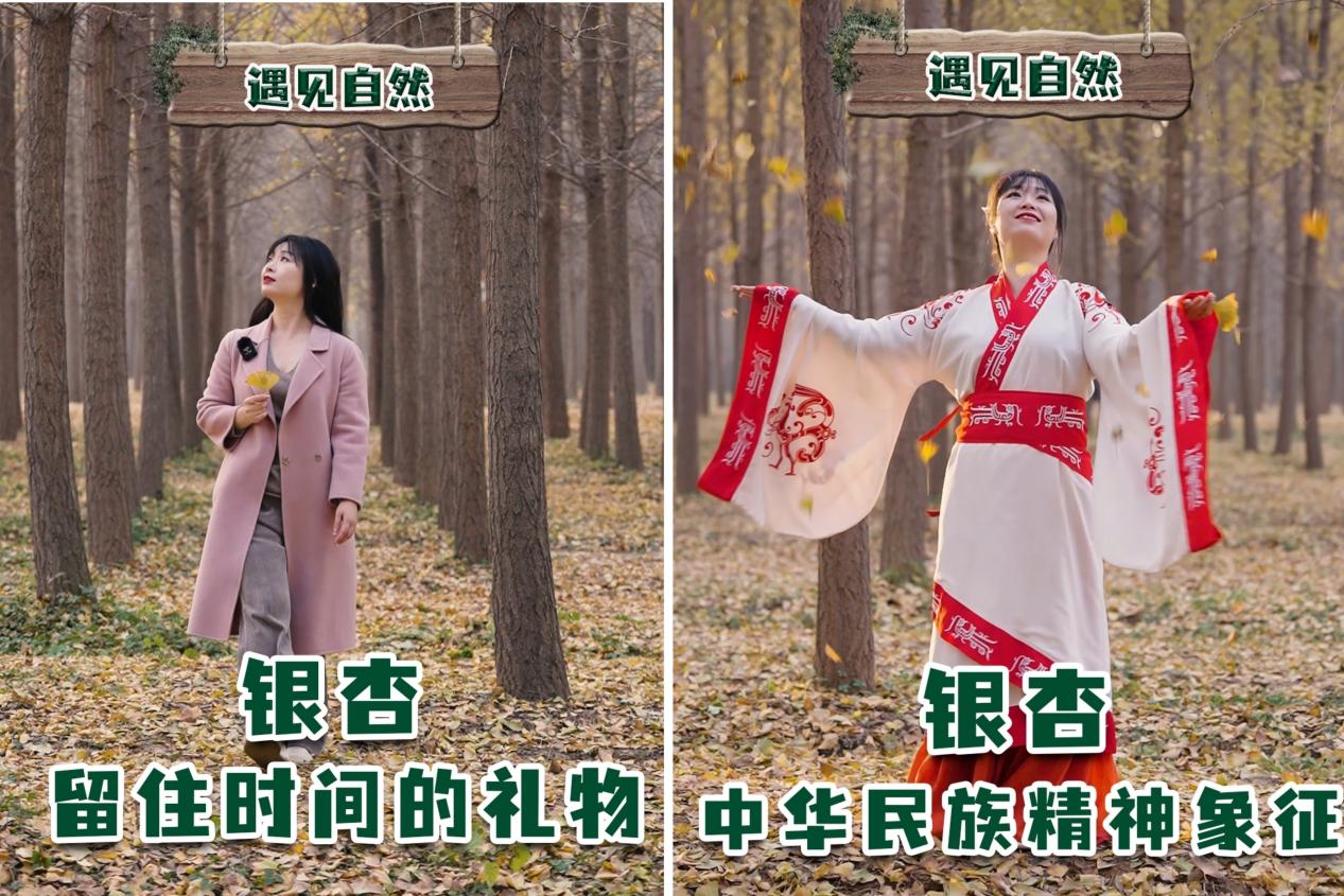 智慧成果谱新篇--陕西自然博物馆科普佳作再获新荣誉