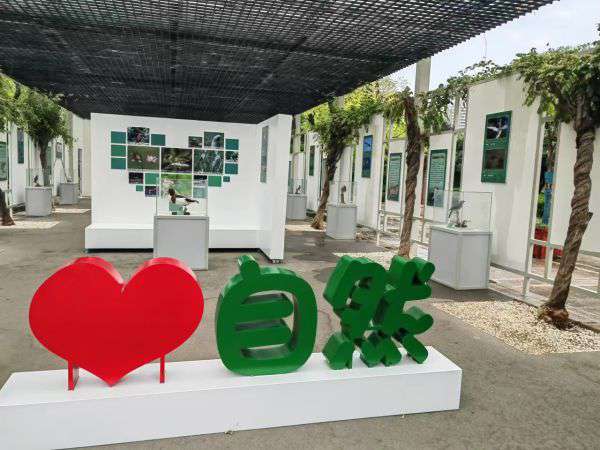 “飞翔的生命赞歌”室外展览