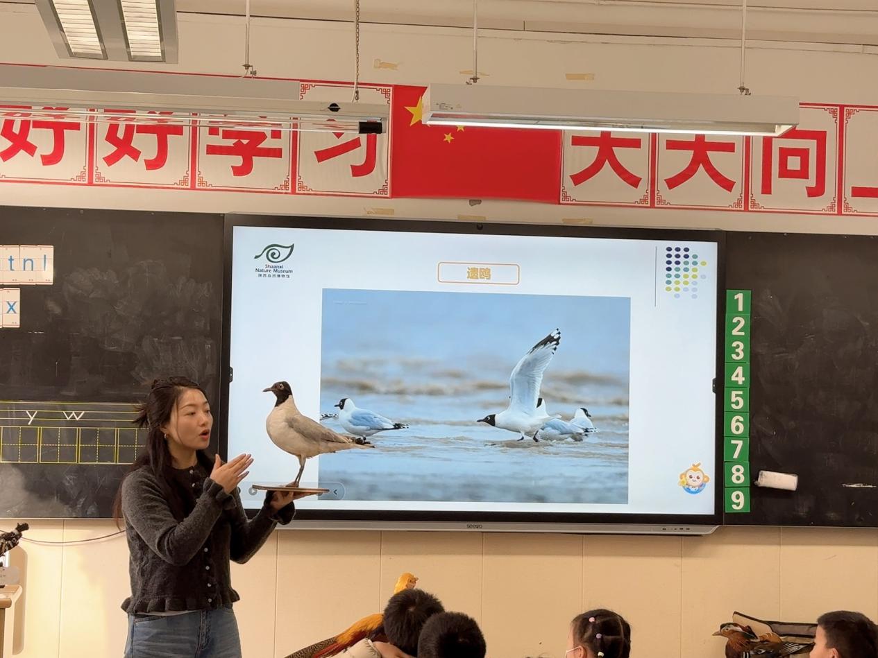 流动的自然课堂 ——走进西安市实验小学
