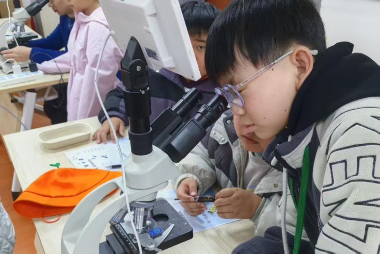 课程《蝶中谍》与《河狸之家》首次同步接待...