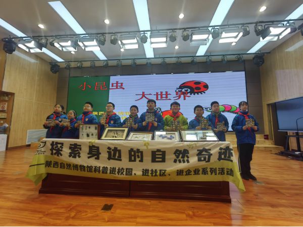 小昆虫大世界  静电实验探科学 ——陕西...