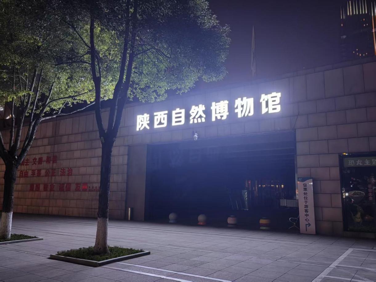 夜色中的璀璨焦点 陕西自然博物馆标识焕新颜
