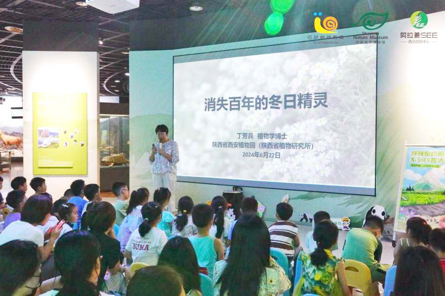 《巍巍秦岭原住民》系列课程第七期 陕西羽叶报春公益讲座如期开讲