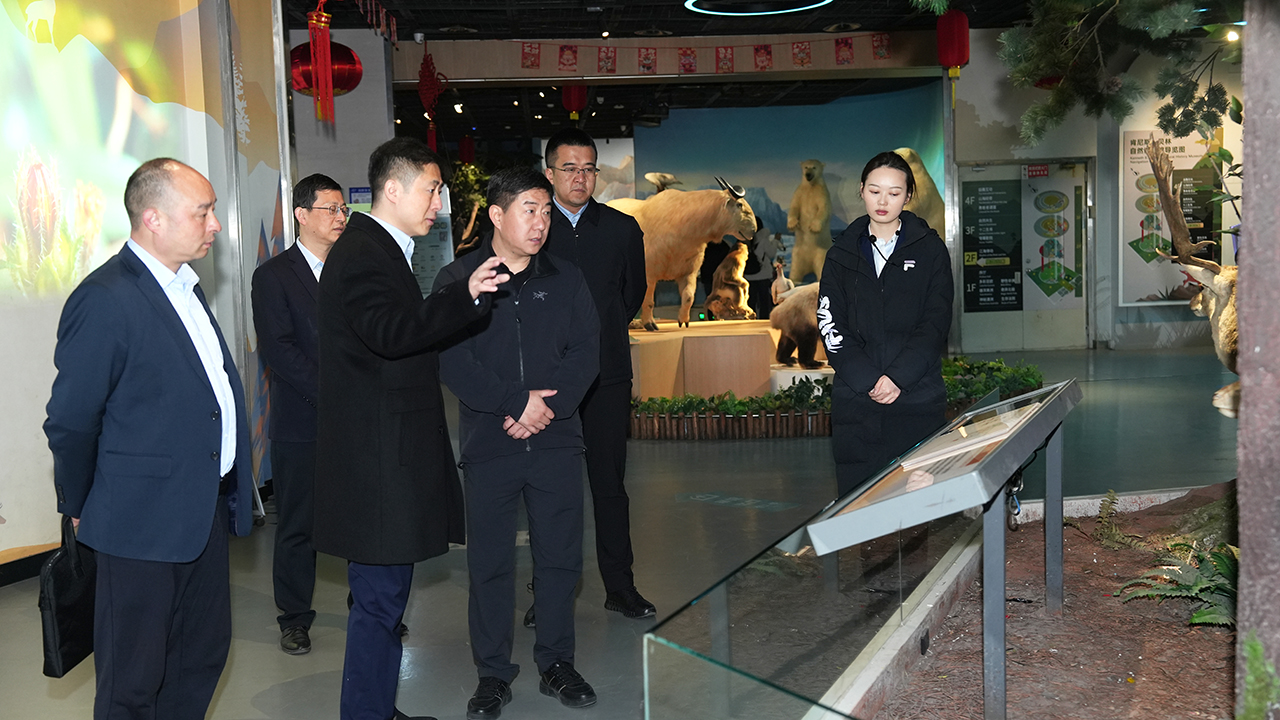 陕投集团副总经理李家卫到陕西自然博物馆调...