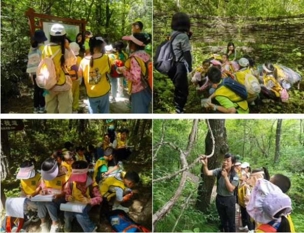 陕西自然博物馆“秦岭的孩子”牛背梁自然科考线路荣获全国“精品研学线路”称号