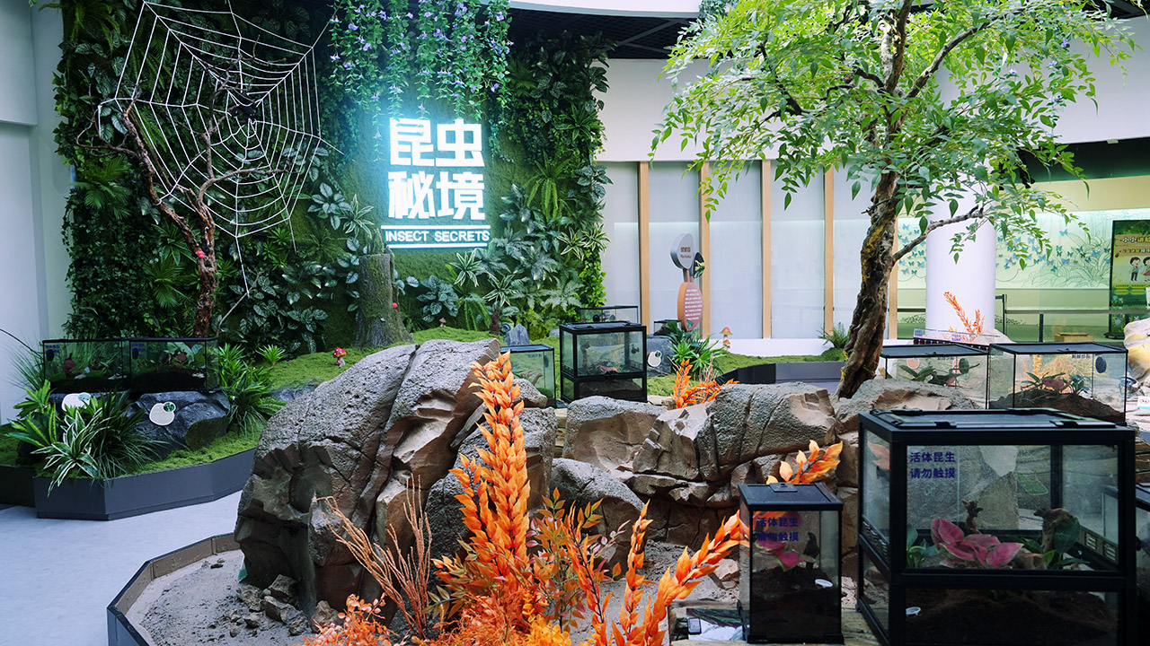 昆虫王国