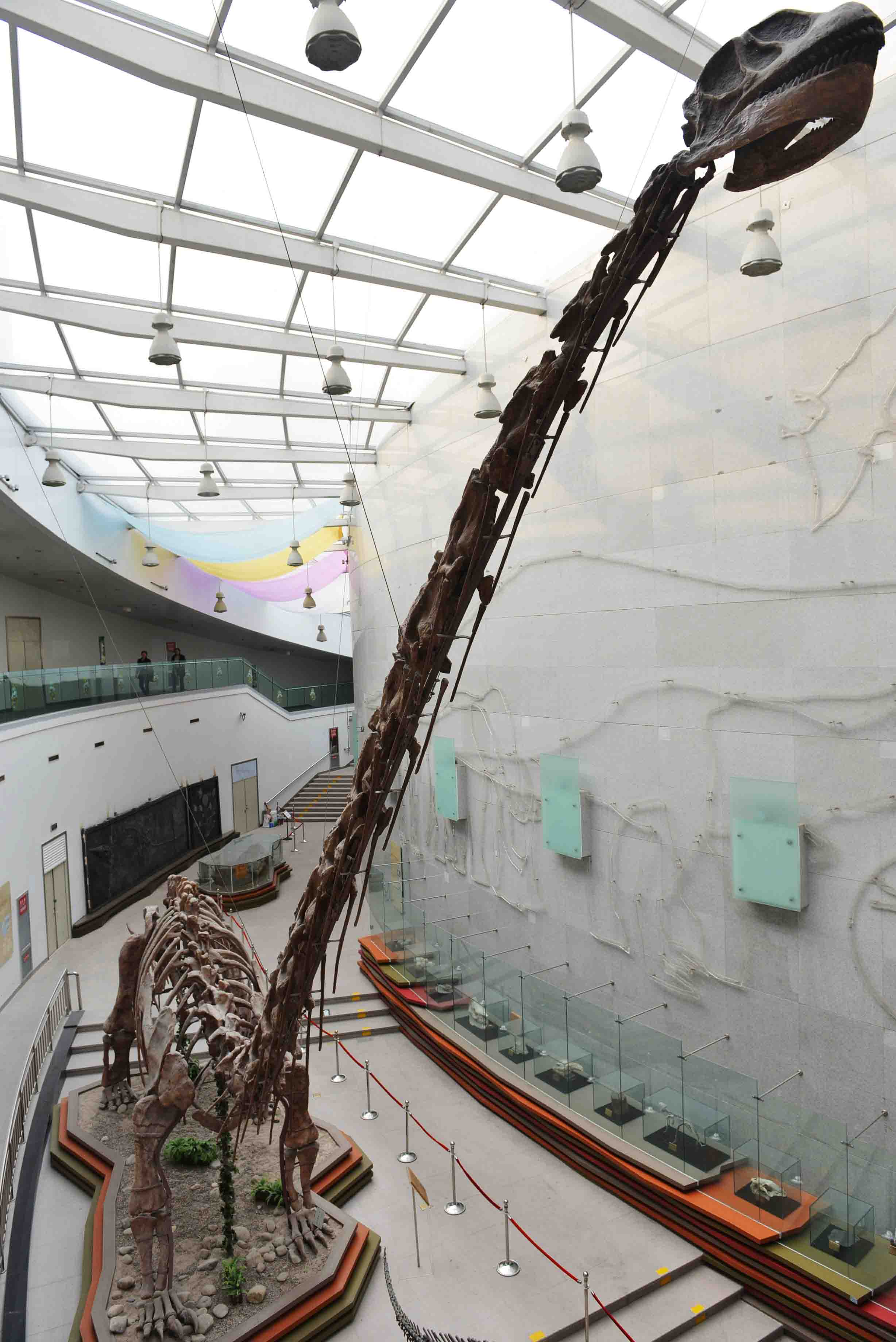 自然展馆-古生物长廊展厅