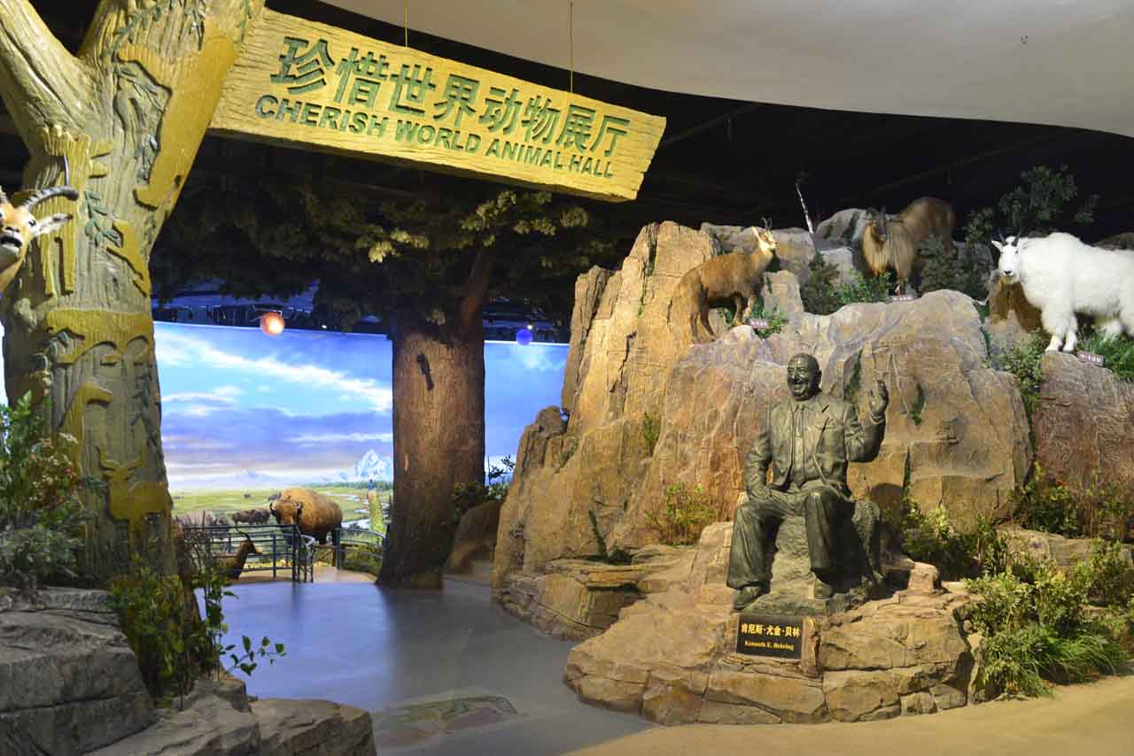 珍惜世界动物展厅