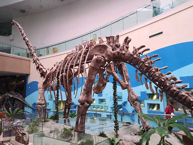 马门溪龙