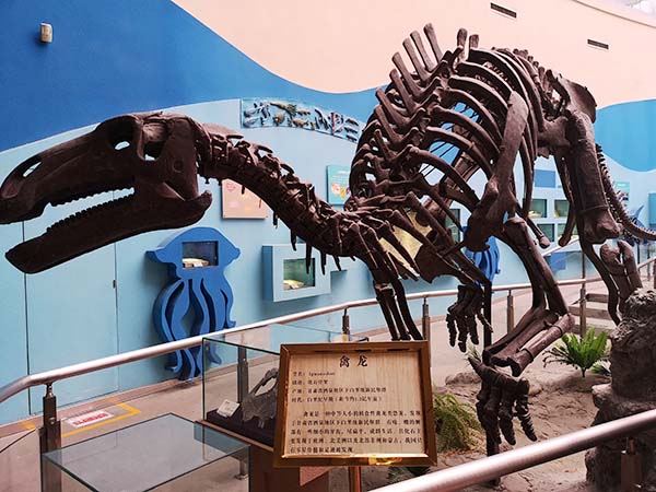 禽龙与永川龙