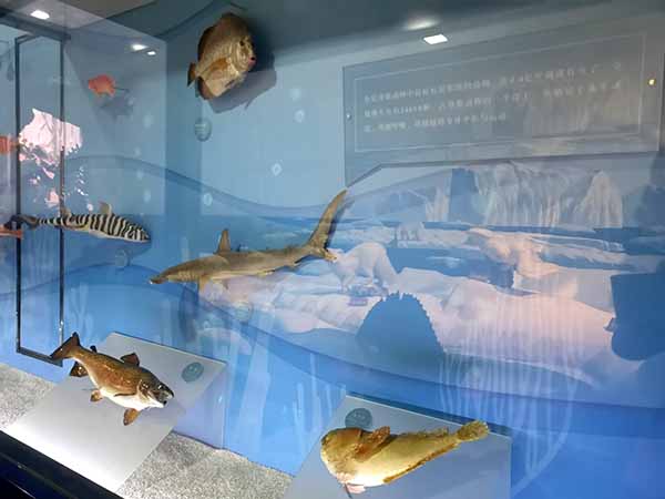 大西洋展区