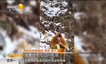 保护野生动物  拒绝随意投喂