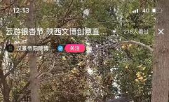 云科普·揭秘银杏的前世今生