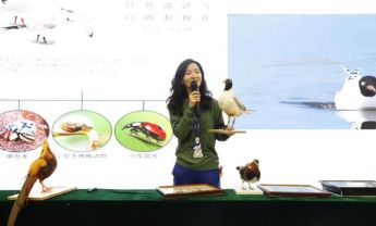 陕西自然博物馆科普进校园受邀走进西安雁塔铭城小学