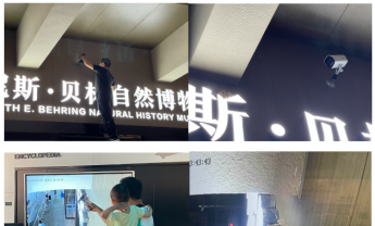陕西自然博物馆直播燕子安家深受网民喜爱