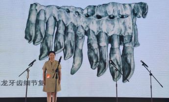 陕西自然博物馆在西安市文博系统讲解比赛中斩获佳绩