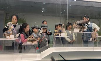 “博物馆奇妙夜之标本失踪案” 科普活动正式发布举办