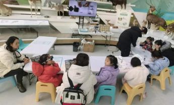 寒假不闭馆 贝林展馆“琥珀拾光”活动等你来探索