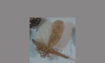 长鼻蜡蝉