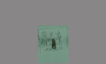 萤火虫