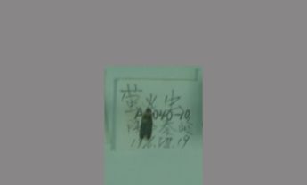 萤火虫