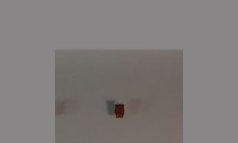 半翅目昆虫