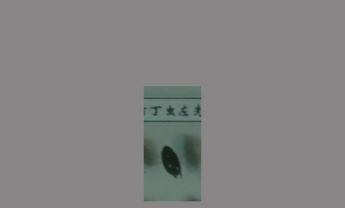 金龟子