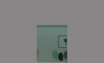 绿金龟