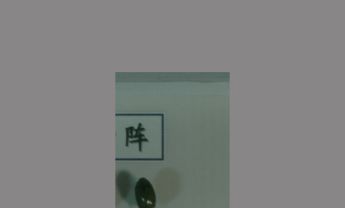 绿金龟
