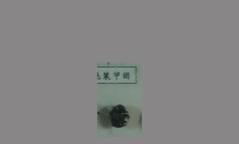 蜣螂