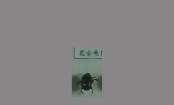 蜣螂