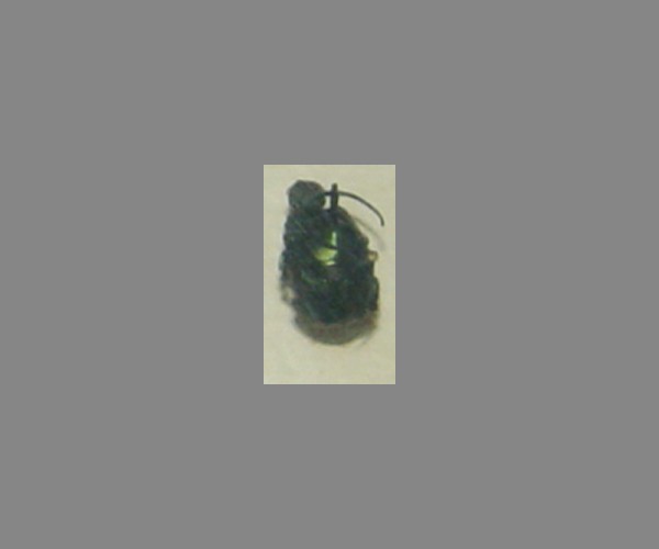蜣螂