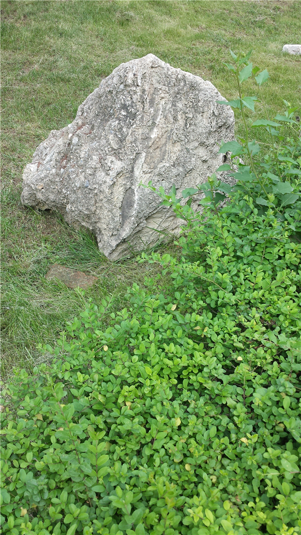 水锈石化石