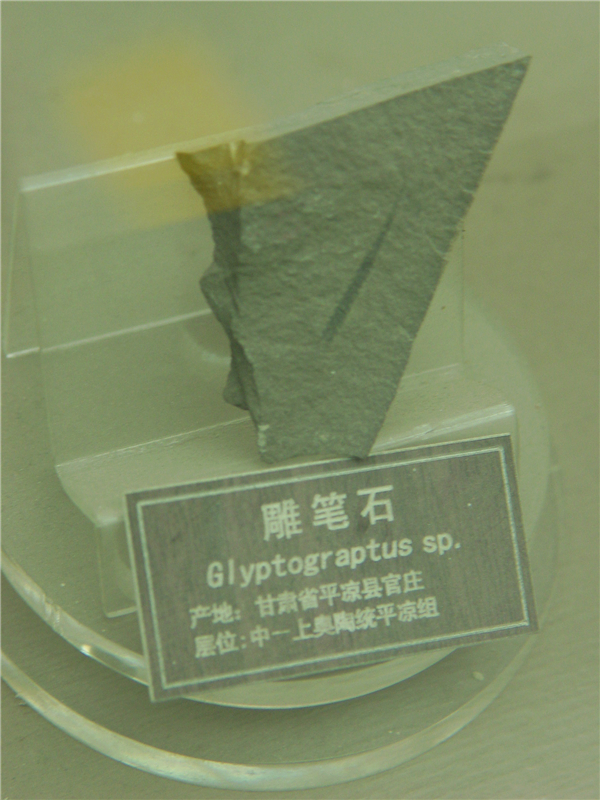 雕笔石