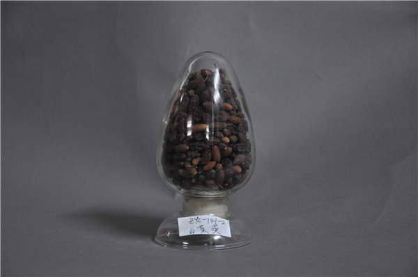 山茱萸